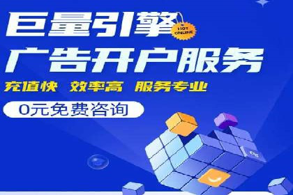 专业SEM服务公司案例分析报告